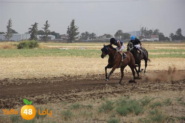 khoyoul lud 0610 (3).JPG